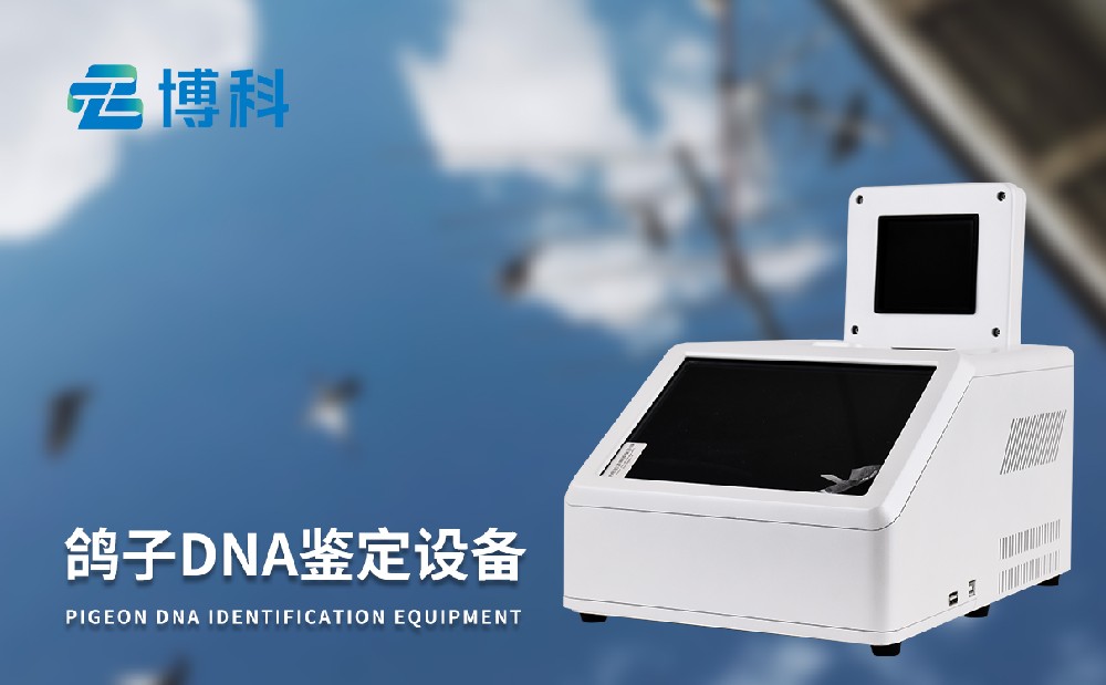 鴿子dna鑒定設(shè)備
