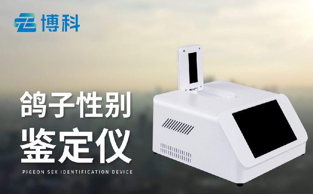 鴿子性別測定儀