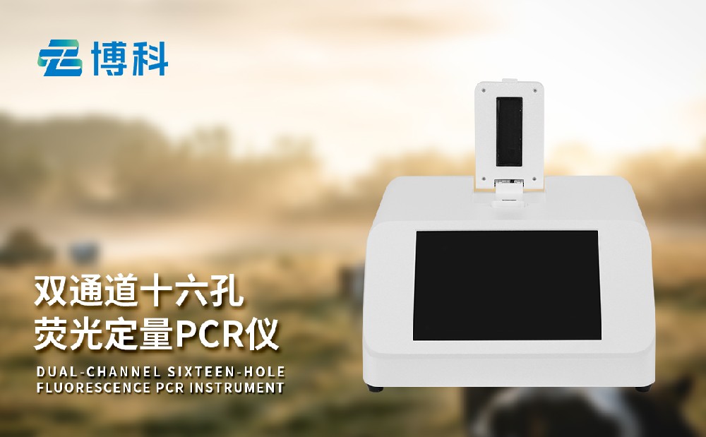 非洲豬瘟檢測(cè)儀 非洲豬瘟檢測(cè)儀