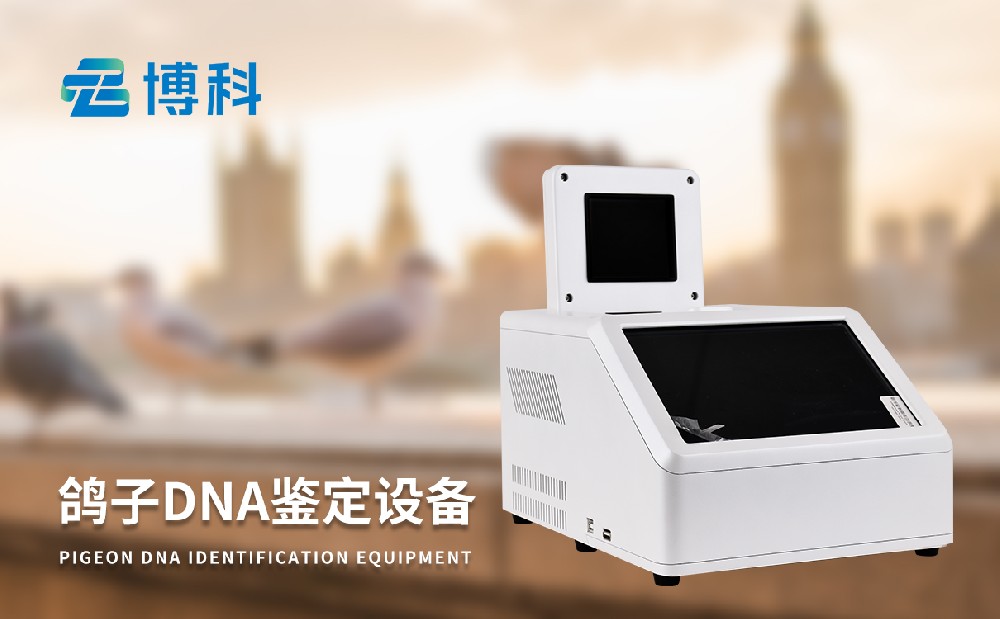 賽鴿飛行能力鑒定儀