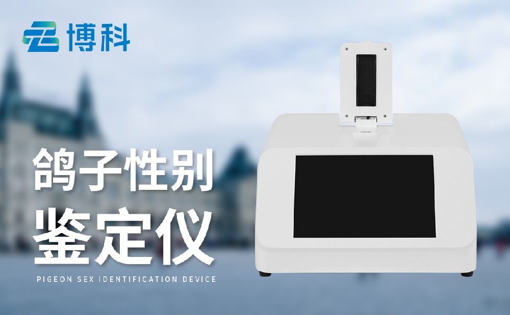 鴿子性別鑒別儀